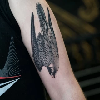 Joao - artiste résident - Black Hat Dublin - micro réalisme - The Black Hat Tattoo