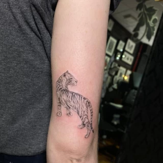 Tatouage de Tigre - Nice - petit - The Black Hat Tattoo