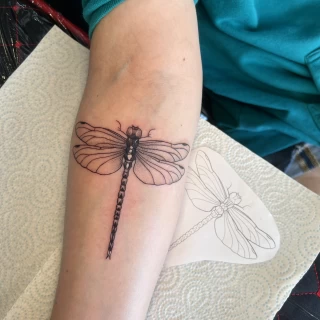 Tatouage Insectes - libellule- Nice - The Black Hat Tattoo