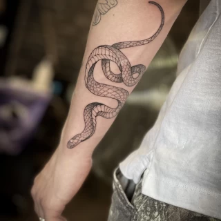 Lignes Fines - Tatouage Serpent - Black Hat Tattoo Nice- tatouage Nice - The Black Hat Tattoo