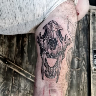 Tatouage d'un crane animal carnivore sur le bras - Blackwork Darkwork - Black Hat Tattoo Nice  - tatouage Nice - The Black Hat Tattoo