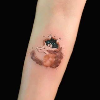 Tatoouage de chat en couleur sur le bras - Black Hat Tattoo Nice - tatouage Nice - The Black Hat Tattoo