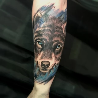 Color realism -  - Tatouage Loup - Black Hat Tattoo Nice- tatouage Nice - The Black Hat Tattoo