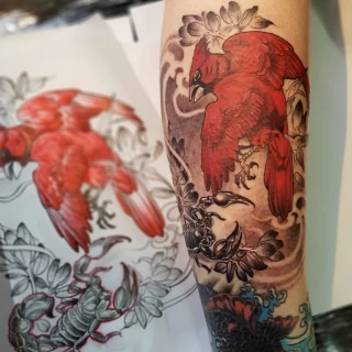 Tatouage Oiseau - Black Hat Tattoo Nice - oiseau rouge et scorpion- tatouage Nice - The Black Hat Tattoo