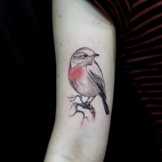 Tatouage Oiseau - Black Hat Tattoo Nice - Rouge gorge- tatouage Nice - The Black Hat Tattoo