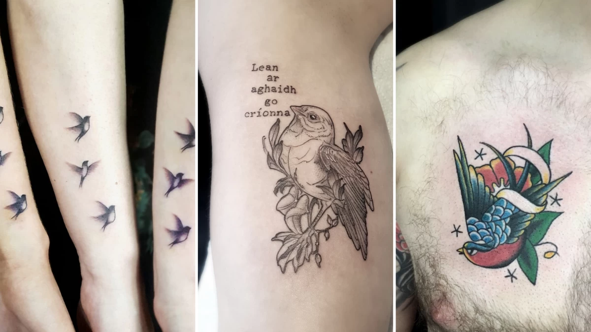 Bird Tattoo - Black Hat Tattoo Dublin 11