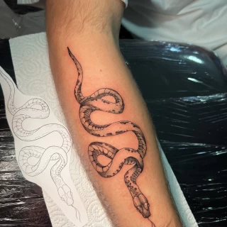 Tatouage de serpent sur le bras - Tatouage Serpent - Black Hat Tattoo Nice- tatouage Nice - The Black Hat Tattoo