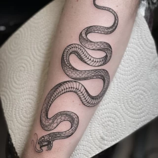 Tatouage d'un serpent - Tatouage Minimaliste Dotwork et fine lines  - Black Hat Tattoo Nice  - tatouage Nice - The Black Hat Tattoo