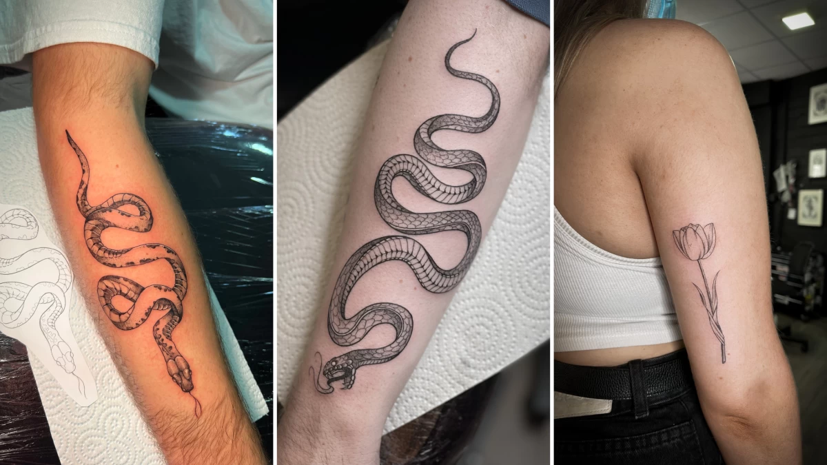 Snake Tattoo - Black Hat Tattoo Nice 2