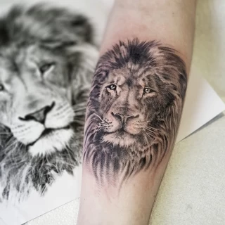 Lion realisme - Tatouage de Lion - Black Hat Tattoo Nice- tatouage Nice - The Black Hat Tattoo