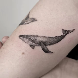 Molly guest artist fine line_(6) - The Black Hat Tattoo