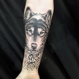 Loup -  - Tatouage Loup - Black Hat Tattoo Nice- tatouage Nice - The Black Hat Tattoo