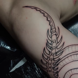 Séarlait - artiste junior - Black Hat Dublin - blackwork - The Black Hat Tattoo