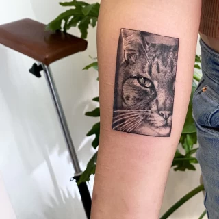 DAVID 19 - The Black Hat Tattoo