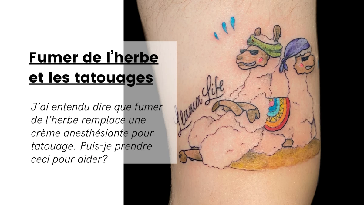 Crème anesthésiante pour tatouage, avant tatouage, épilation au