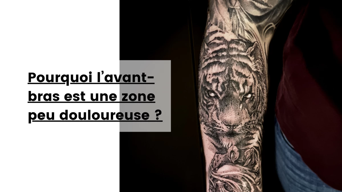 Pourquoi l’avant-bras est une zone peu douloureuse