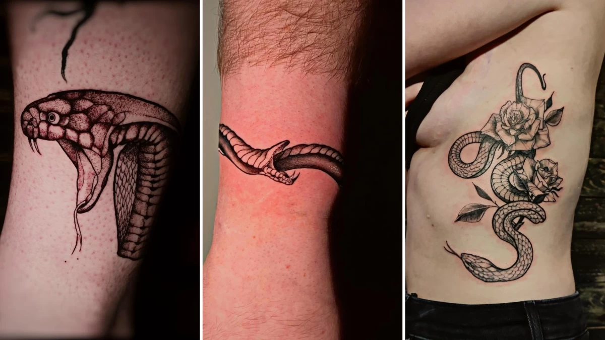 Snake Tattoo - Black Hat Tattoo Nice 4