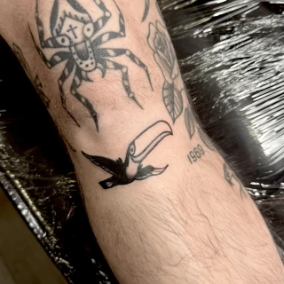 Stella - artiste résidente - Black Hat Dublin - blackwork - The Black Hat Tattoo