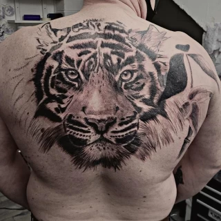 Tatouage de Tigre - Nice - Dos - The Black Hat Tattoo