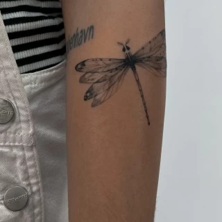 DAVID 11 - The Black Hat Tattoo