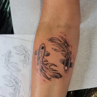 Tatouage de Signe Astrologique - Nice - Poissons - Avant Bras - The Black Hat Tattoo