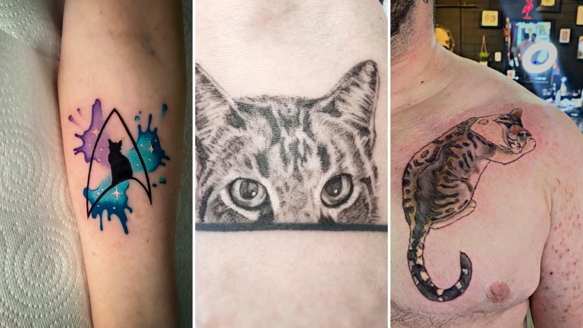 Cat Tattoo - Black Hat Tattoo Dublin 3