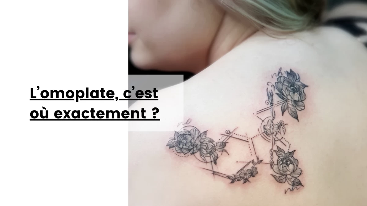 L’omoplate, c’est où exactement