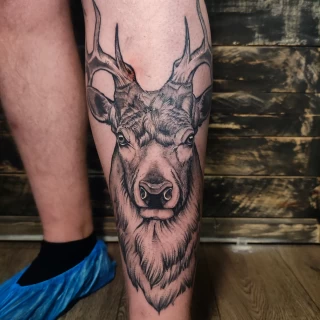 Tatouage Cerf - Nice - realisme sur jambe - The Black Hat Tattoo