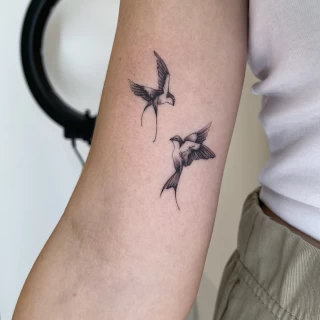 DAVID 18 - The Black Hat Tattoo