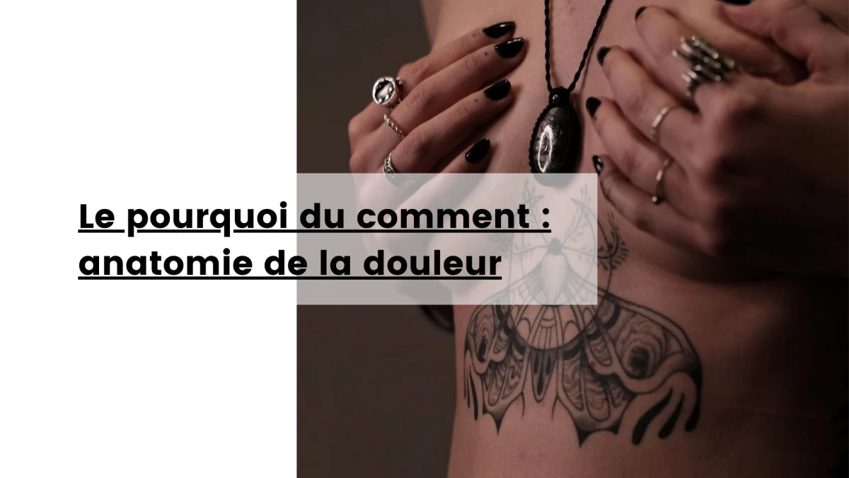 Le pourquoi du comment _ anatomie de la douleur