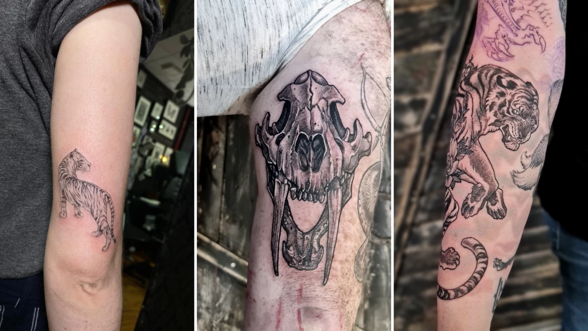 Tiger Tattoo - Black Hat Tattoo Dublin 4