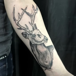 Tatouage Cerf - Nice - realisme sur bras - The Black Hat Tattoo