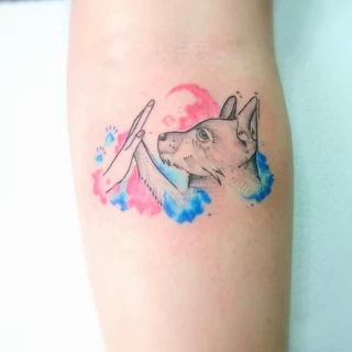 Tatouage de chien et main -  - Tatouage animaux de compagnie  - Black Hat Tattoo Nice- tatouage Nice - The Black Hat Tattoo