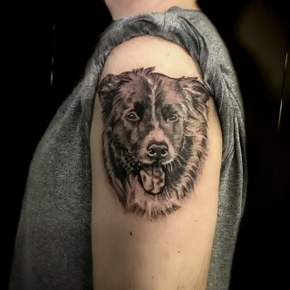 Portrait de chien tatouage -  - Tatouage animaux de compagnie  - Black Hat Tattoo Nice- tatouage Nice - The Black Hat Tattoo