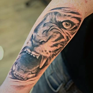 Tatouage de Tigre - Nice - Realism sur avant bras - The Black Hat Tattoo