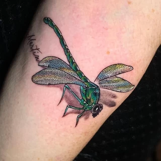 Pandora - guest artist - color tattoo - neo traditionnal - presentation post - the black hat tattoo Dublin- 2025 (2) - The Black Hat Tattoo