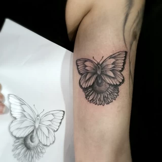 Tatouage Insectes - papillon et tournesol bras sur femme- Nice - The Black Hat Tattoo