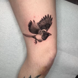 Joao - artiste résident - Black Hat Dublin - micro réalisme - The Black Hat Tattoo