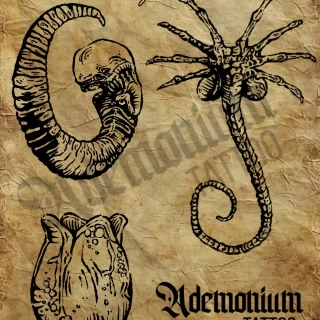 IMG_3731 - The Black Hat Tattoo