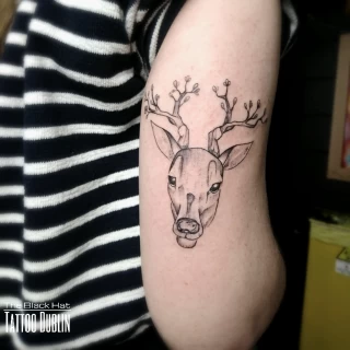 Tatouage Cerf - Nice - tête de cerf sur le bras femme - The Black Hat Tattoo