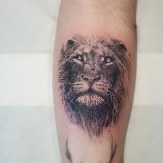 Realisme sur bras - Tatouage de Lion - Black Hat Tattoo Nice- tatouage Nice - The Black Hat Tattoo