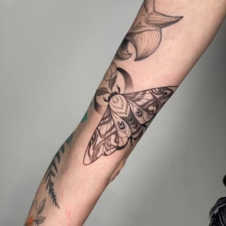 Tatouage Insectes - Phalène papillon de nuit- Nice - The Black Hat Tattoo