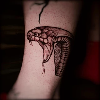 Tatouage tête de serpent - Tatouage Serpent - Black Hat Tattoo Nice- tatouage Nice - The Black Hat Tattoo