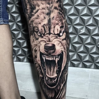 Fanny - guest artist - wolf - realism tattoo - black and grey - the black hat tattoo Nice - 2025 - The Black Hat Tattoo