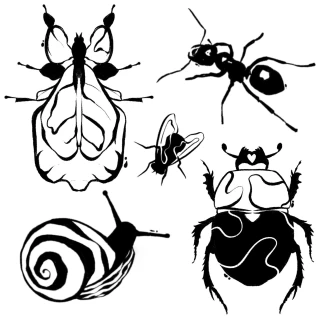 WhatsApp Image 2025-12-23 at 17.55.58 (7) - The Black Hat Tattoo