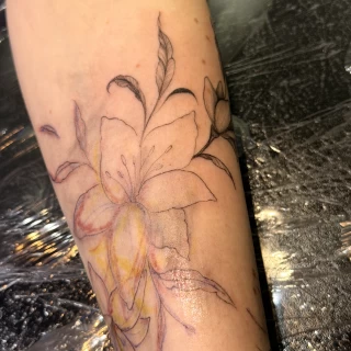 Inna - artiste résidente - Black Hat Dublin - fine line - The Black Hat Tattoo