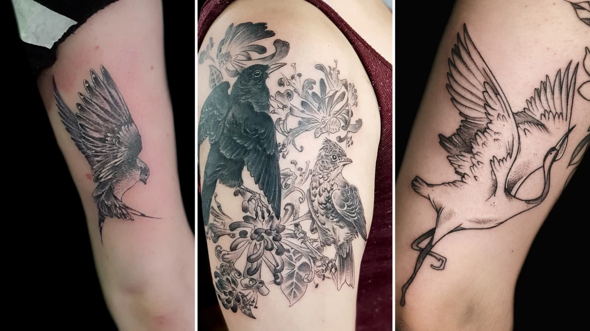 Bird Tattoo - Black Hat Tattoo Dublin 6