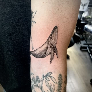 Joao - artiste résident - Black Hat Dublin - micro réalisme - The Black Hat Tattoo