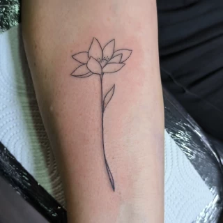 Delicate -  - Tatouage Fleur - Black Hat Tattoo Nice- tatouage Nice - The Black Hat Tattoo