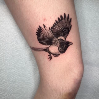 Joao - artiste résident - Black Hat Dublin - micro réalisme - The Black Hat Tattoo